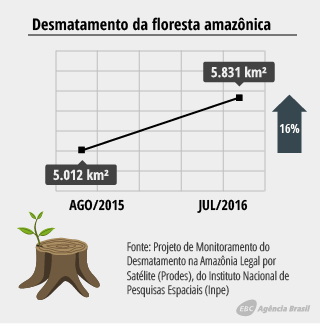 desmatamento_2.4.png