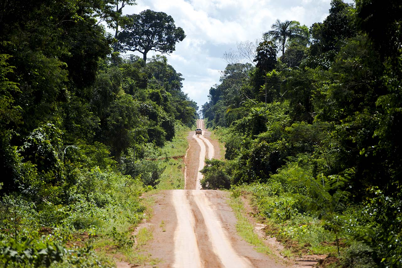 estrada na floresta