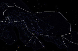 Constelação da Anta do Norte