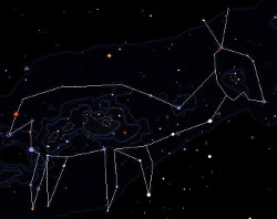 Constelação do Cervo