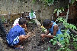 Projeto Rocinha Mais Verde quer ensinar crianças a cultivar alimentos orgânicos