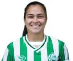 Limpia Fretes