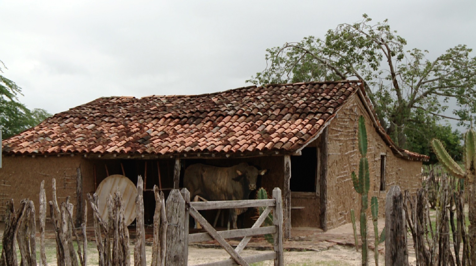 Atração apresenta itens que fazem parte do acervo da história do cangaço