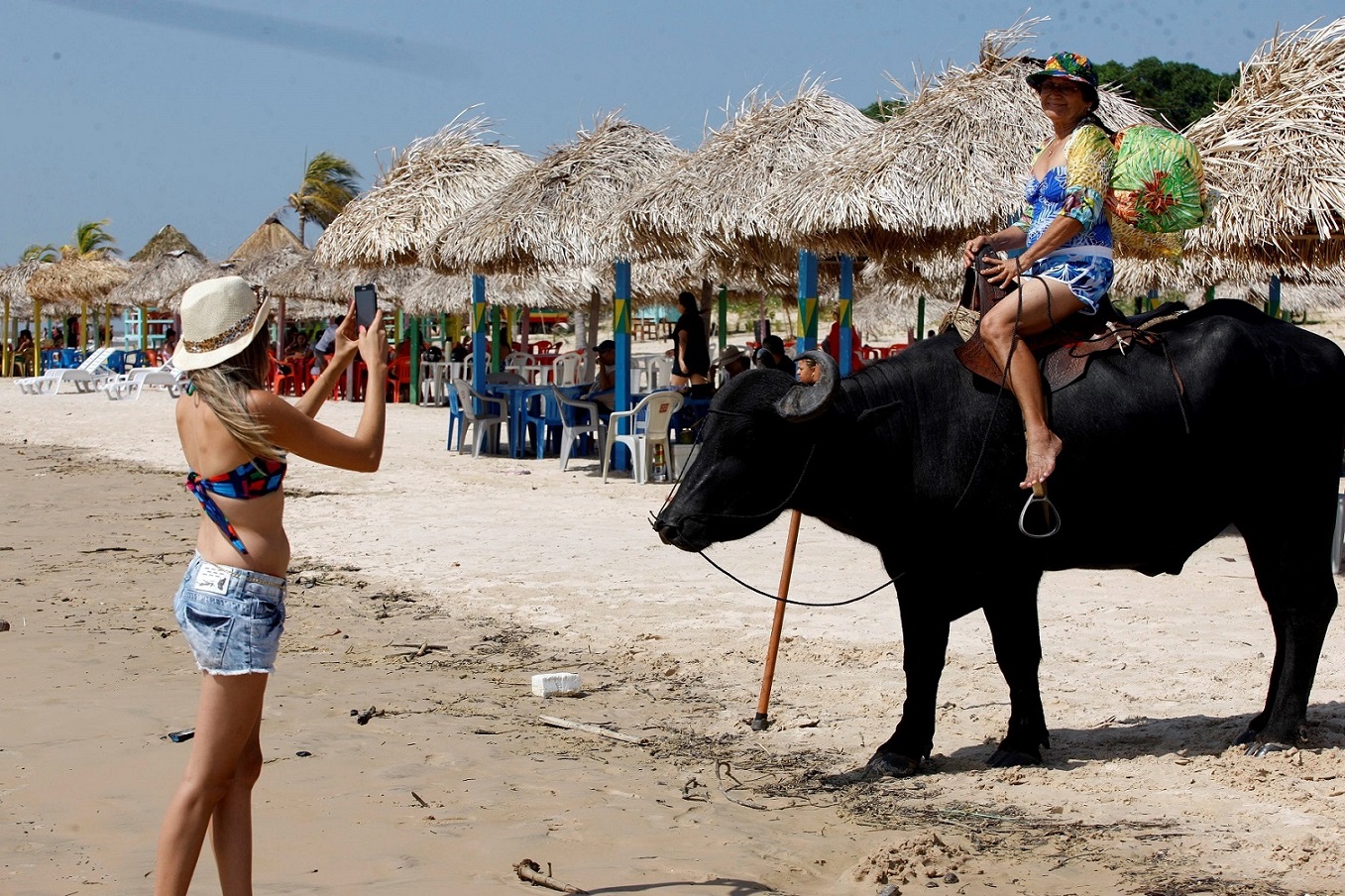 Nova Amazônia desvenda as belezas naturais da maior ilha do país